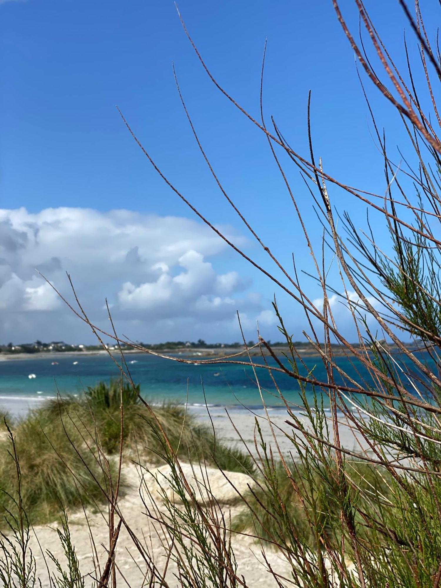 L'escale 551, gîte Santec à 250m de la plage Esterno foto